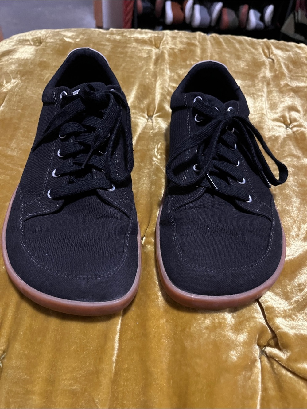 Splay Canvas Sneakers